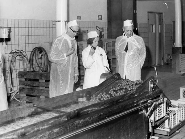 Arbetare fvid potatiskokaren på Rödaleds bränneri i Skåne 1957