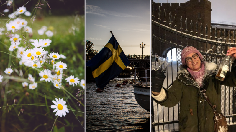 blommor på en äng svenska flaggan och Nadja dryckesesxperten med nubbar